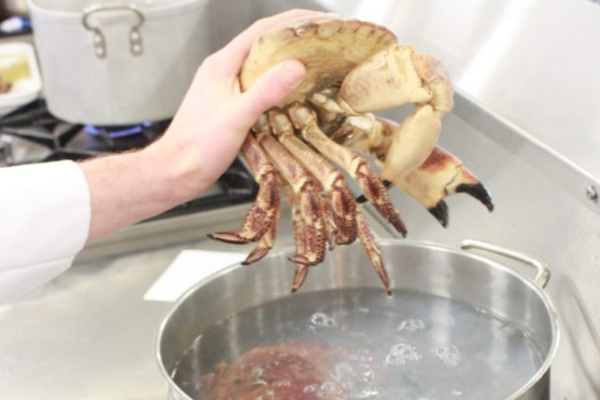 Healthy Seafood Cookery Courses